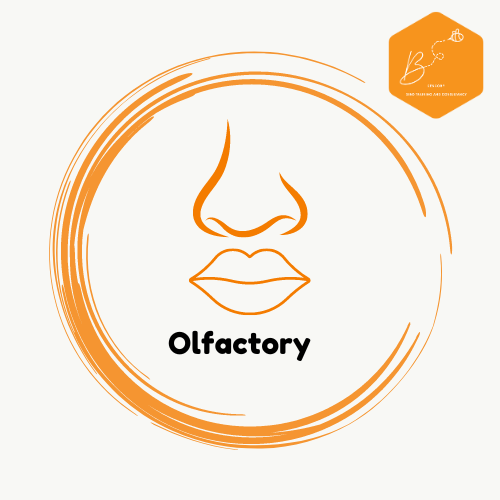 Olfactory (Smell and Taste) Processing Environmental Adjustments