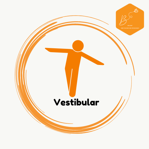 Signs and Symptoms of Vestibular Difficulties